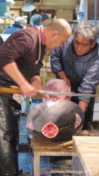 Japan2016Web-013