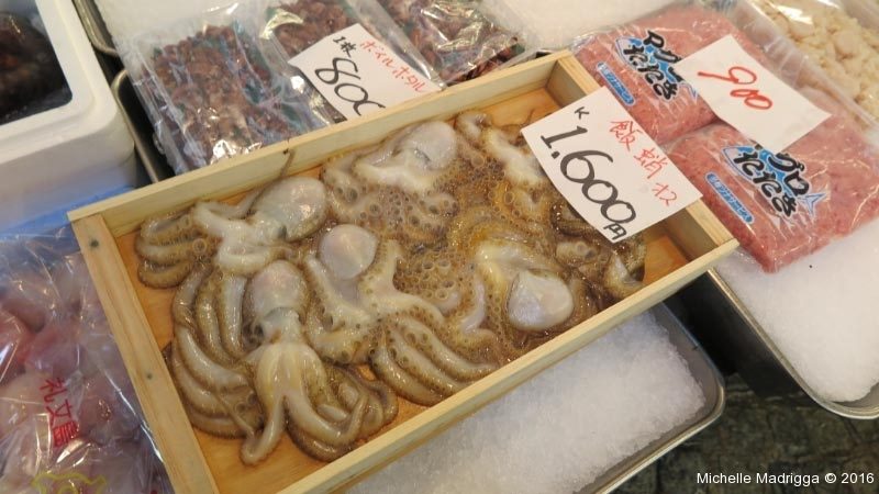 Japan2016Web-016