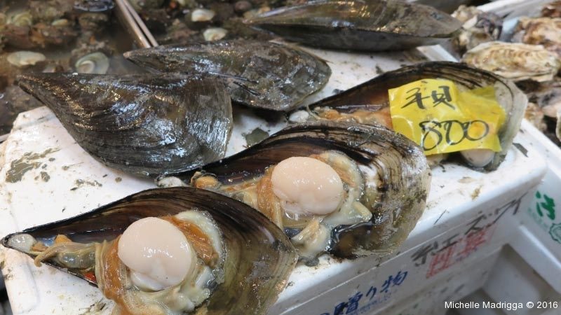 Japan2016Web-019