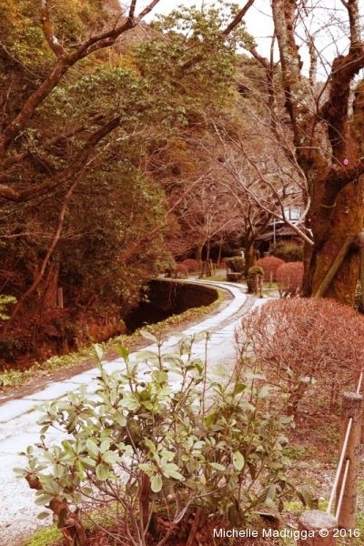 Japan2016Web-110