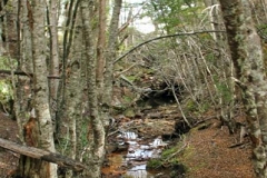 Patagonia2012-for web-025