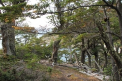 Patagonia2012-for web-028