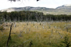 Patagonia2012-for web-030