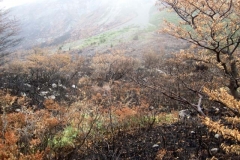 Patagonia2012-for web-085