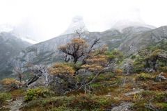 Patagonia2012-for web-099