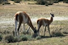 Patagonia2012-for web-109