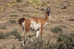 Patagonia2012-for web-110
