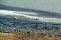 Patagonia2012-for web-111