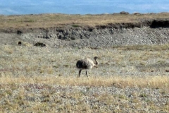 Patagonia2012-for web-126
