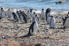 Patagonia2012-for web-127