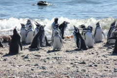 Patagonia2012-for web-128