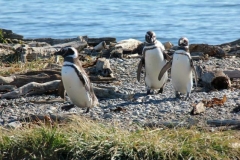 Patagonia2012-for web-129