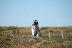 Patagonia2012-for web-130