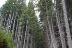 Patagonia2012-for web-156