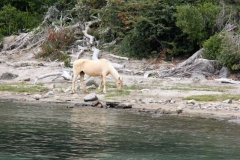 Patagonia2012-for web-159