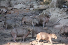 Peru 2011-for web-002