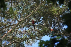 Peru 2011-for web-008