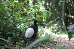 Peru 2011-for web-009
