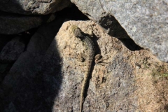 Peru 2011-for web-021