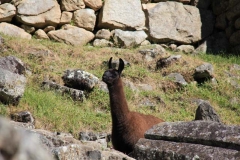 Peru 2011-for web-022