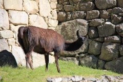 Peru 2011-for web-023