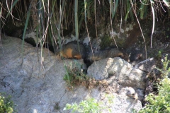 Peru 2011-for web-037