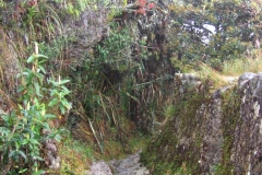 Peru 2011-for web-041