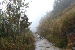 Peru 2011-for web-042