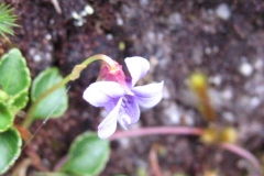 Peru-2011-for-web-055