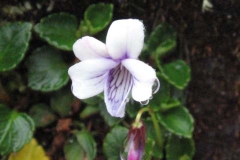 Peru-2011-for-web-059