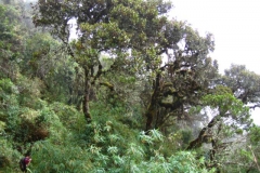Peru-2011-for-web-061