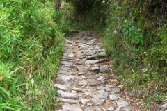 Peru-2011-for-web-064