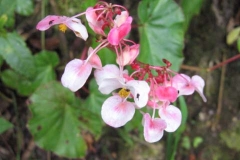 Peru-2011-for-web-070