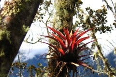 Peru-2011-for-web-072
