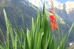 Peru-2011-for-web-073