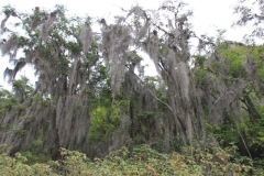 Peru-2011-for-web-097
