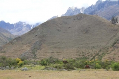 Peru-2011-for-web-101
