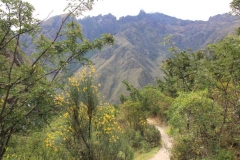 Peru-2011-for-web-103