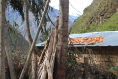 Peru-2011-for-web-104