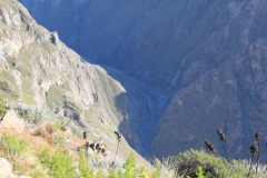 Peru-2011-for-web-174