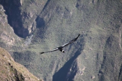 Peru-2011-for-web-175