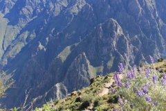 Peru-2011-for-web-180