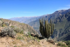 Peru-2011-for-web-182