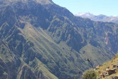 Peru-2011-for-web-185