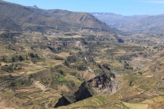 Peru-2011-for-web-186