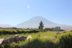 Peru-2011-for-web-197