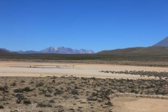 Peru-2011-for-web-200