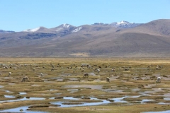 Peru-2011-for-web-207