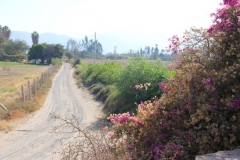 Peru-2011-for-web-231