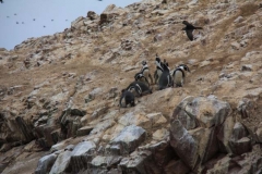 Peru 2011-for web-267
